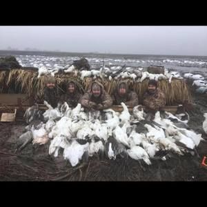 Meet your Posher, Drew